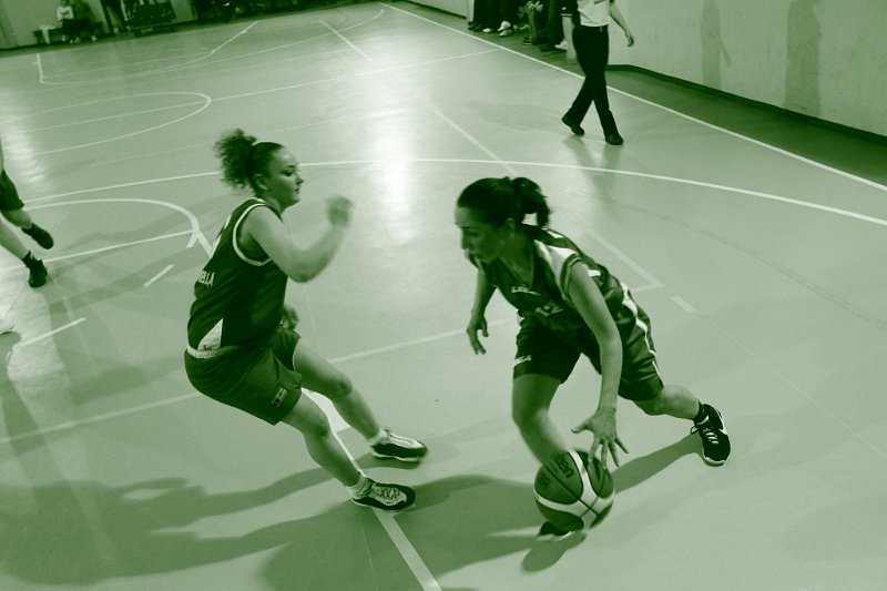 Basket 443025